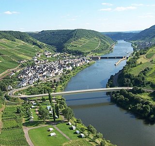 Neef an der Mosel